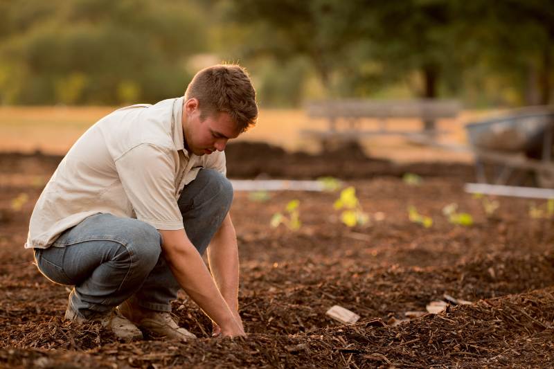 Qué es la agricultura circular Conoce este interesante concepto