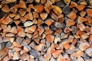 Industria de la madera: cerrar el círculo como prioridad para hacerla más sostenible