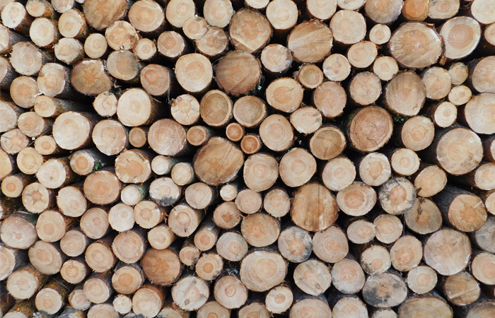 Industria de la madera