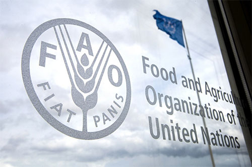 La FAO trabaja promoviendo una gestión sostenible de la tierra y el agua.