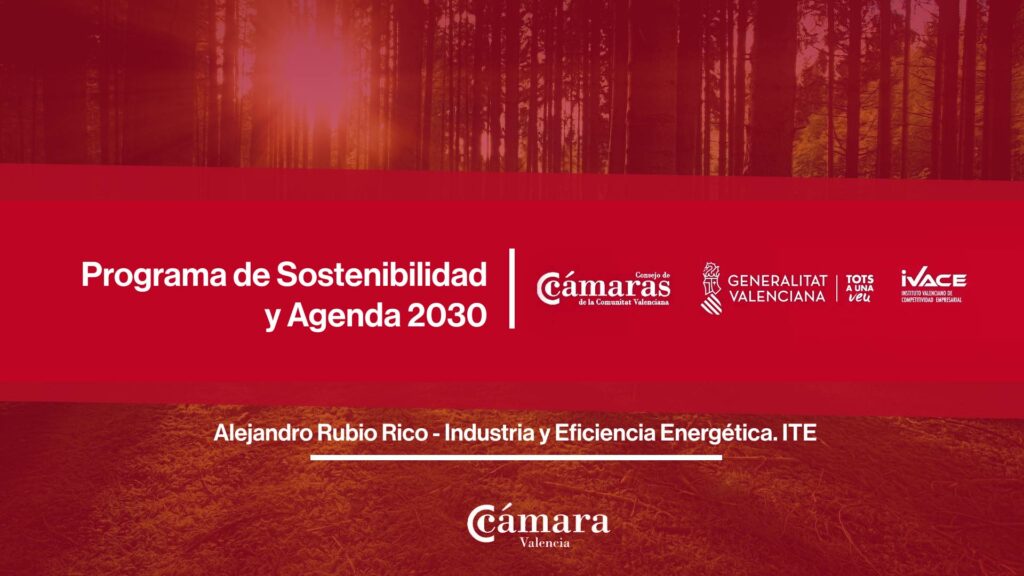 Alejandro Rubio Rico | Industria y Eficiencia Energética. ITE