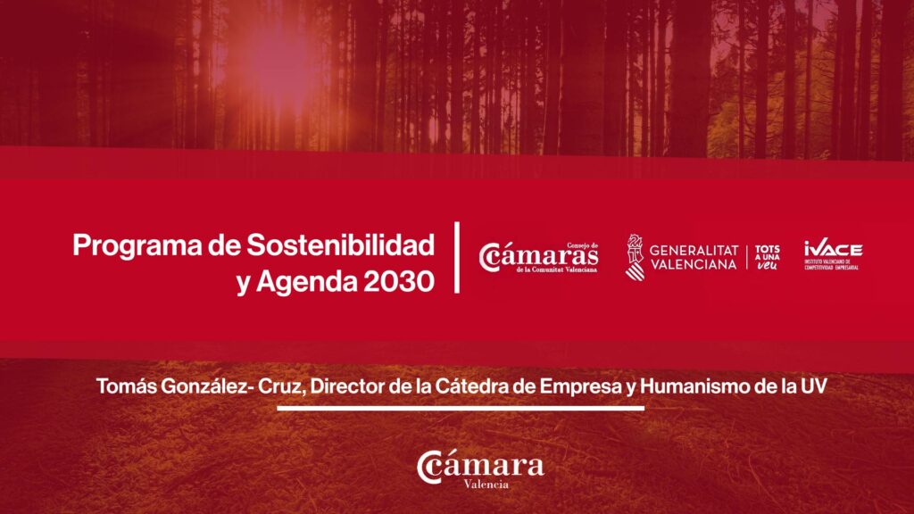 Tomás González- Cruz | Director de la Cátedra de Empresa y Humanismo de la UV