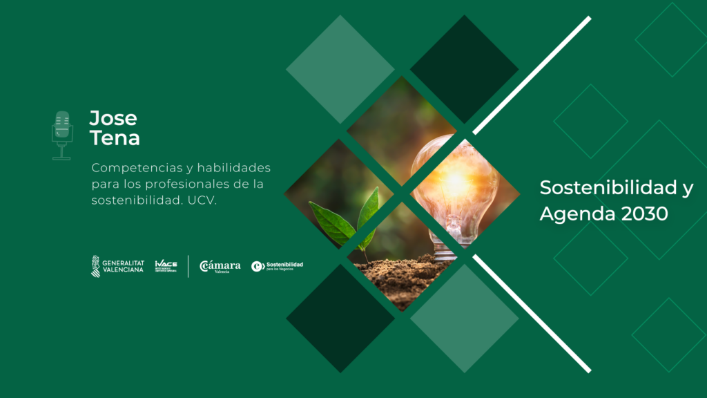 Competencias y habilidades para los profesionales de la sostenibilidad UCV | Jose Tena