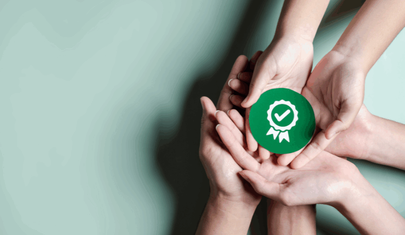 Modelos de estándares de sostenibilidad: B Corp, Triple Impacto y más allá