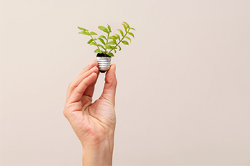 Guía práctica: gestión de la sostenibilidad en tu empresa