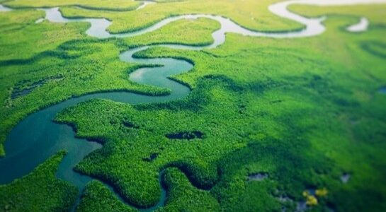 Modelos jurídicos para economía circular