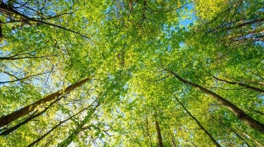 Gestión regulatoria de residuos y cumplimiento ambiental