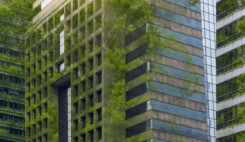 Hacia negocios sostenibles: Cómo impulsar el cambio desde la base