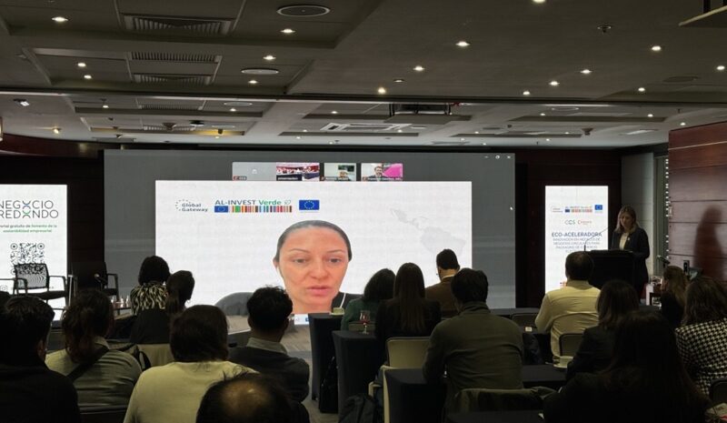 Eco-aceleradora impulsa la circularidad del packaging en eCommerce y beneficia a más de 600 pymes en Chile