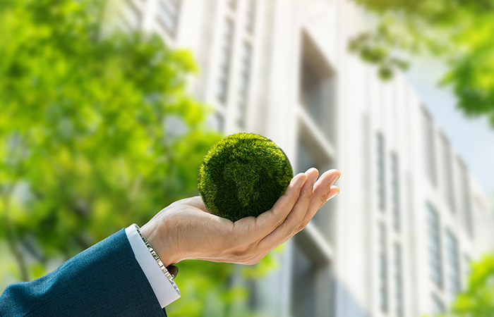 Panorama actual de la sostenibilidad en los negocios