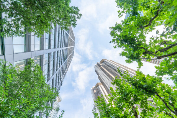 Bottom view of modern eco city in Shanghai