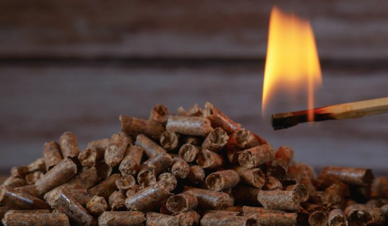 La biomasa en la provincia de valencia: un recurso estratégico para la transición energética