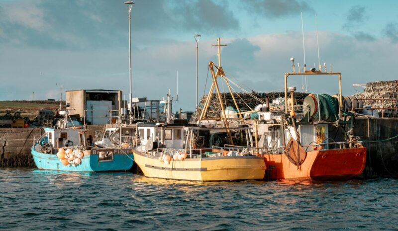 El reto de la sostenibilidad de la industria pesquera: el caso de la pesca de bajura