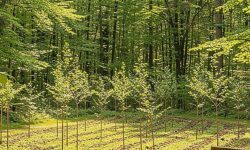 ESG: Reporting práctico con el proyecto RESPONSE