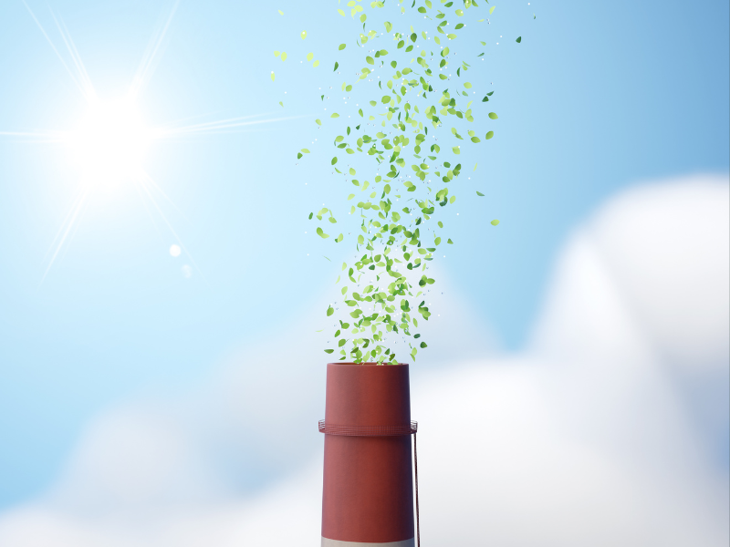 Estrategias Net Zero e innovación climática