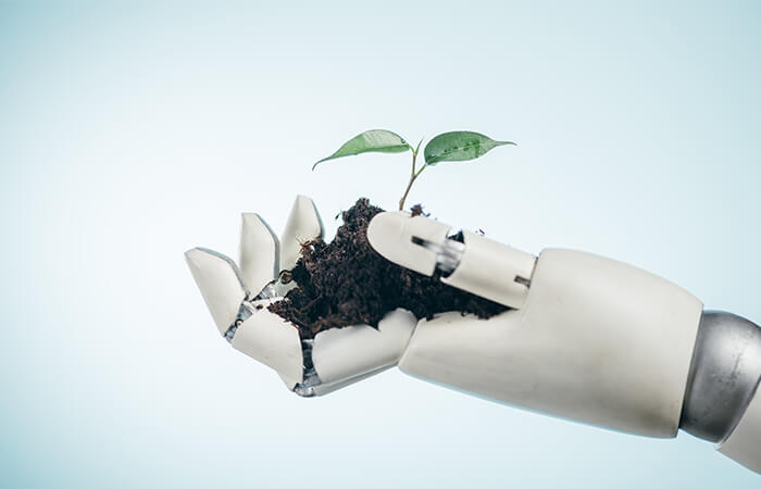 Cómo aplicar inteligencia artificial para optimizar el impacto ambiental 