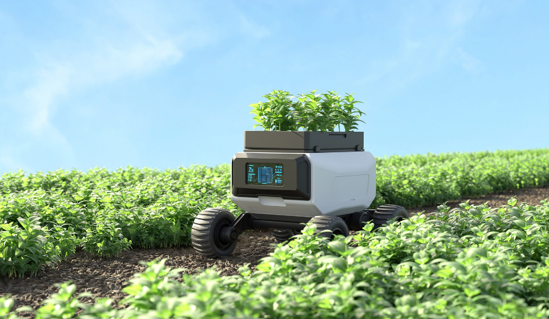 ASCA: formación y retos reales para acelerar la sostenibilidad y la digitalización de tu pyme agroindustrial