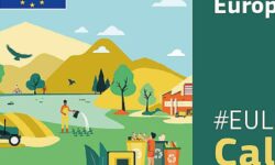 JORNADA INFORMATIVA  REGIONAL LIFE: Novedades convocatoria 2026 y  networking online: 7 de julio de 2026 #EULIFE26