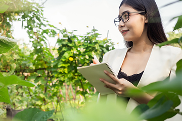 Sostenibilidad y biodiversidad: cómo integrar la naturaleza en la estrategia empresarial