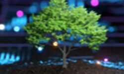 El mapa de las certificaciones ESG: cómo elegir y comunicar las que te convienen