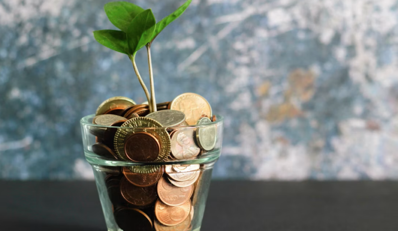 Un nuevo desafío: Financiación pública para la transición sostenible